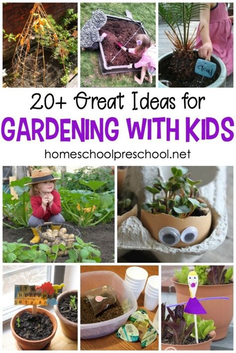 There are so many benefits to gardening with kids. With this amazing collection of ideas and activities, your kids can learn about plants, try new foods, and tend their own garden spots. #homeschoolprek #preschool #homeschooling #prek #gardeningwithkids #spring   https://homeschoolpreschool.net/gardening-with-kids/ Gardening Kids Activities, Gardening With Kids, Preschool Garden, Tattoo Plant, Garden Activities, Spring Outdoor, Garden Drawing, School Garden, Creative Gardening