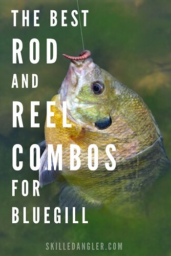 Bluegill Fishing, Crappie Fishing Tips, Best Fishing Rods, Trout Fishing Tips, Fishing For Beginners, Fishing Rods And Reels, Walleye Fishing, Fishing Rigs, Crappie Fishing