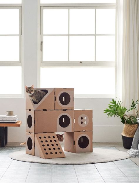 Cat Playground Outdoor, Chat Diy, Cardboard Cat House, Cat House Diy, Cat City, Cat Playground, Cat Furniture Diy, Cardboard House, Cat Box