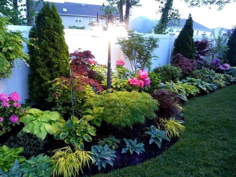 Japanese Maple Varieties, Japanese Maple Garden, Japanese Red Maple, Front Flower Beds, Shade Garden Design, Maple Shade, Side Yard Landscaping, Patio Flowers, Hosta Gardens