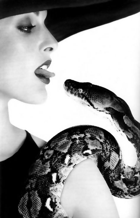 Snake Photos, Snake Charmer, Wedding Bridal Party, Bridal Party Dresses, A Snake, Black N White, Dali, Black And White Photography, Beauty And The Beast