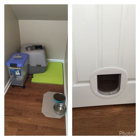 Closet under the stairs converted into a cat room. Cat Box Under Stairs, Under The Stairs Cat Room, Cat Room Under Stairs, Room Ideas Under Stairs, Cat Cupboard, Room Ideas Closet, Dog Bedroom Decor, Ideas Under Stairs, Cats Room