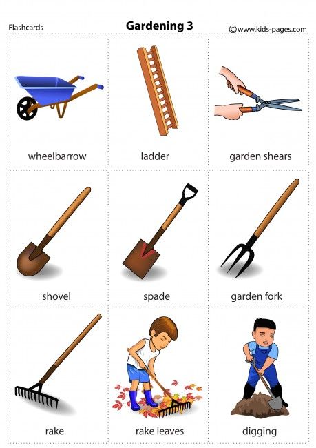 English Grammar Games, Ladder Garden, Garden Soil Preparation, Types Of Gardens, Garden Rake, Teaching English Grammar, Garden Shears, Learning English For Kids, English Learning Spoken