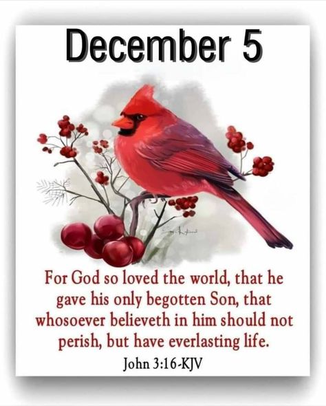 December 5th Blessings, December 5 Bible Verse, December 5 Quotes, December 5 Blessings, December Greetings, December Prayers, Heavenly Pictures, December Blessings, Hello December Images