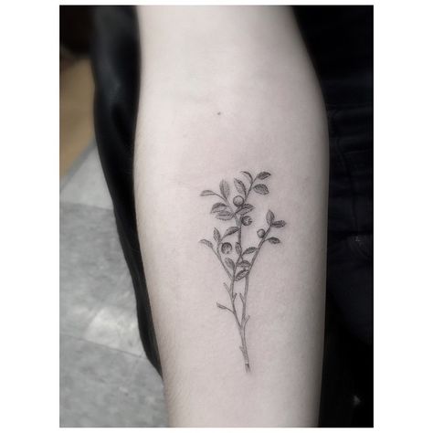 Little Huckleberry Arm tattoo Huckleberry Tattoo, Indie Tattoo, Dr Woo, Branch Tattoo, Best Tattoo Ideas, Daisy Tattoo, Blue Tattoo, Aesthetic Tattoo, Sister Tattoos