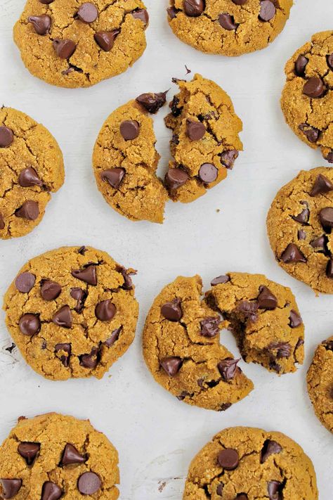 Make delicious pumpkin and chocolate cookies in under 30 minutes. This recipe uses ingredients like almond flour, honey, and pumpkin puree so the cookies are healthy enough to eat for breakfast. This recipe uses almond flour and coconut flour (no oats), so it's a great gluten free option. Paleo Pumpkin Chocolate Chip Cookies, Pumpkin And Chocolate, Pumpkin Breakfast Cookies, Pumpkin Breakfast, Chocolate Chip Cookie Mix, Chocolate Breakfast, Baking With Almond Flour, Dairy Free Chocolate Chips, Paleo Pumpkin