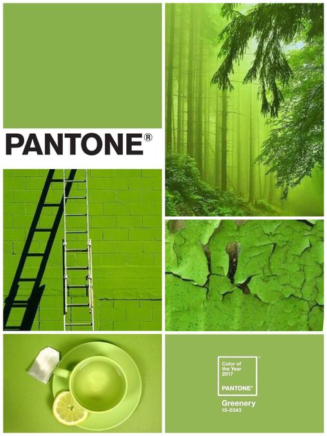 Pantone Color of the Year 2017 Greenery Greenery Interior, Pantone 2017, Green Office, Pantone Color Of The Year, Pantone Colors, Collage Making, Color Of The Year, Pantone Color, Go Green