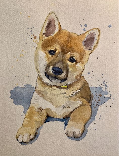 Cute Dog Drawing, Watercolor Pet Portraits, Watercolor Dog, Chiba, Dog Drawing, Chow Chow, Shiba Inu, Pet Portrait, Dog Art