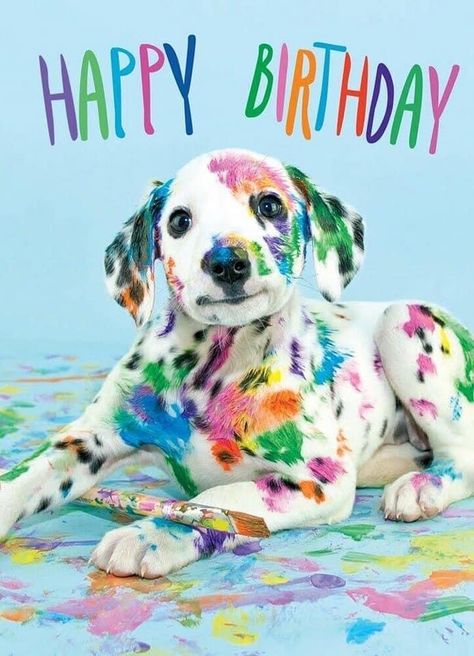 Happy Birthday Funny Dog, Happy Birthday Puppy, Best Birthday Images, Happy Birthday Dog, Birthday Greetings Friend, Happy Birthday Beautiful, Happy Birthday Greetings Friends, Happy Birthday Meme, Happy Birthday Funny