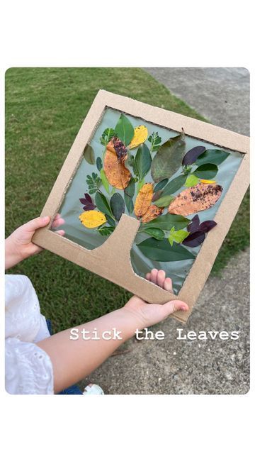 Rozanne | Bright Little Brains on Instagram: "🍂This Nature Hunt activity is great for this time of year! 🍂 If you haven’t got yourself a roll of adhesive paper, then I don’t know what to say….because it’s one of the BEST materials I run to when I am in need of something quick and easy to do with my kids! 🙌🏻 “Sticky paper” can be found @walmart , @hobbylobby and @target - at the kitchen liner aisle. I also have an amazon link in my bio! BUT as an alternative you can easily make use of CLE Tree Art Ideas For Preschool, Fall Tree Crafts For Kids Preschool, Craft With Natural Materials, Nature Day Activities For Kids, Tree Day Activities For Kids, T Is For, Nature Crafts Preschool, Tree Activities For Kids, Fall Nature Crafts