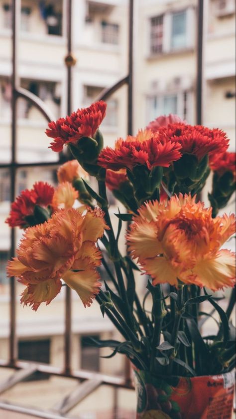 Filter Photography, Airbrush App, Photography Lifestyle, Minimal Aesthetic, Flowers Wallpaper, Nature Flowers, Instagram Inspiration, Love A, Yellow