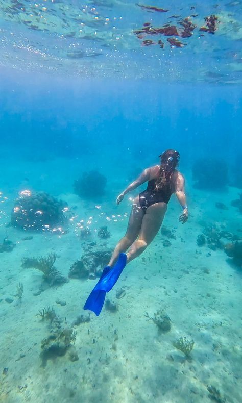 Snorkeling in belize, belize travel guide Belize Photography, Belize Travel Guide, Tropical Islands Paradise, Belize Travel, Exotic Birds, Caribbean Sea, Tropical Islands, Modern Life, Beautiful Country