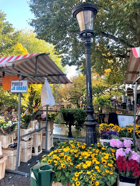 utrecht | flower shop | river Spring In The Netherlands, Utrecht Netherlands Aesthetic, Living In The Netherlands Aesthetic, Netherlands Aesthetic Summer, The Netherlands Travel, Summer In Netherlands, Netherland Aesthetic, Nicole Core Aesthetic, Netherlands Lifestyle