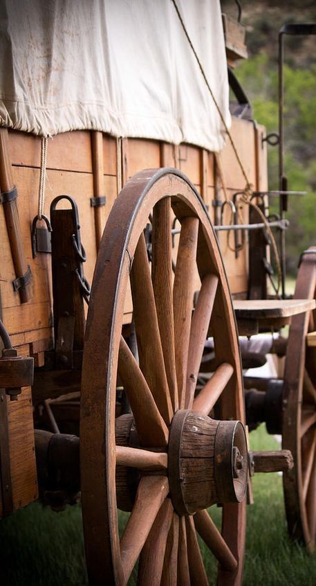 Chuckwagon Cooking, Ethan Chandler, Horse Wagon, Wood Wagon, Wagon Wheels, Horse Drawn Wagon, The Volunteers, Prairie Home, Old Wagons