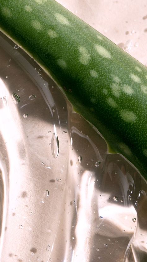 This DIY Aloe Vera Hair Mask Will Help Nourish Your Hair and Scalp Aloe Vera Hair, Hair Mask Recipe, Aloe Vera Hair Mask, Clean Scalp, Best Hair Mask, Natural Hair Mask, Aloe Vera For Hair, Aloe Vera Plant, Laser Skin