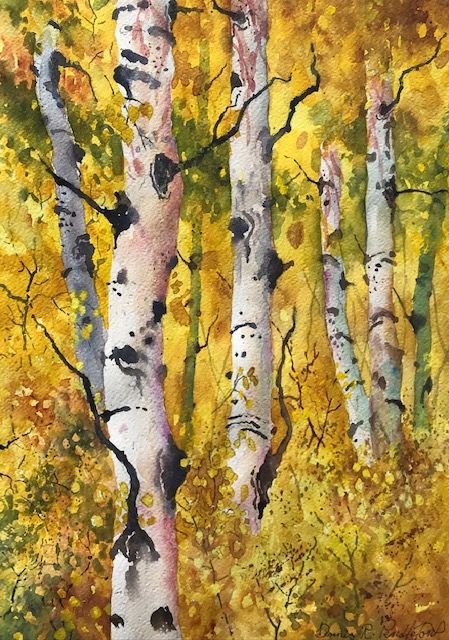 Watercolor Painting by Denver Artist Dennis Pendleton of Aspens in Rocky Mountains. Aspen Watercolor Painting, Watercolor Birch Trees, Aspen Trees Painting, Beginners Watercolor, Birch Trees Painting, Birch Trees Landscaping, Birches Painting, Lovely Paintings, Trees In Autumn