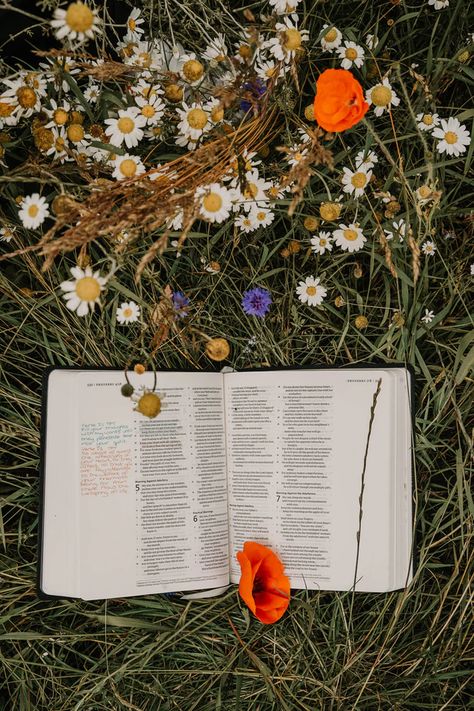 open book on green grasses photo – Free Plant Image on Unsplash Bible And Flowers, Open Bible, Cute Bibles, Bible Images, Book Flowers, Plant Images, Free Plants, Coffee And Books, Flower Images