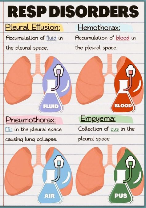 Nurse Practitioner Student Clinical, Respiratory Therapy Student, Nursing School Studying Cheat Sheets, Respiratory Disorders, Paramedic School, Nursing School Essential, Medical School Life, Nursing School Motivation, Basic Anatomy And Physiology