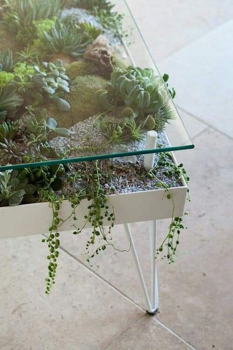 Terrarium Table, Minimalist Diy, تصميم الطاولة, Tanaman Indoor, نباتات منزلية, Desain Furnitur Modern, Deco Nature, Decoration Plante, Cactus Y Suculentas