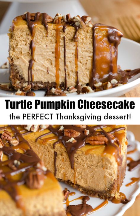 Thanksgiving Desserts Cheesecake, Cheesecake Thanksgiving, Spiced Cheesecake, Turtle Pumpkin, The Perfect Cheesecake, Thanksgiving Cheesecake, Cheesecake Pumpkin, Perfect Cheesecake, Dessert Halloween