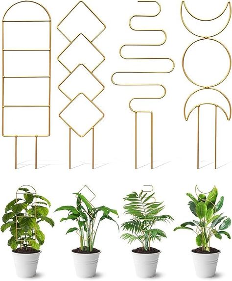 Amazon.com : 4 Pack Indoor Climbing Plant Trellis, Small Trellis for Potted Plants Outdoor, Metal Garden Trellis Plant Support Trellis with Different Patterns for Vine Ivy Flower (Golden) : Patio, Lawn & Garden Climbing Plants Indoor, Plant Trellis, Plants Indoor, Climbing Plants, Metal Wire, Potted Plants, Climbing, Plants, Gold