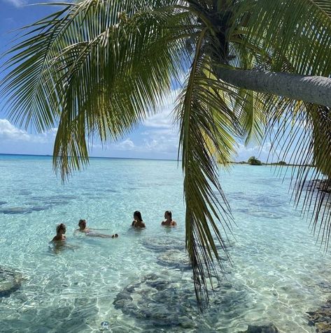 Crystal clear water, friends, summer, travel, tropical, beach, instagram, sunny Summer Feed, Hawaii Aesthetic, Harbour Island, Paradise On Earth, Island Girl, Summer Dream, Aesthetic Summer, Summer Pictures, Tropical Islands