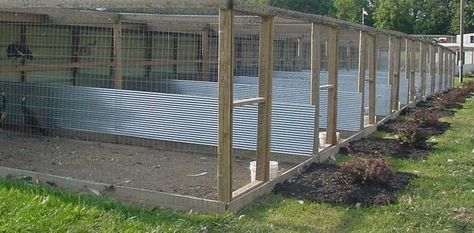 Breeding Chickens Pens, Chicken Breeder Pens, Chicken Breeding Pens Ideas, Chicken Breeding Pens, Poultry Breeding Pens, Quail Coop, Chicken Coop Decor, Portable Chicken Coop, Chicken Pen