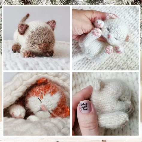 Knitted Cats And Kittens, Sleeping Kitten Knitting Pattern, Sleeping Kitten Crochet Pattern, Knitted Kitten Pattern Free, Kitten Knitting Pattern Free, Sleeping Kitten Knitting Pattern Free, Sparkle Yarn Crochet Patterns, Cat Knitting Pattern Free, Kitten Knitting Pattern