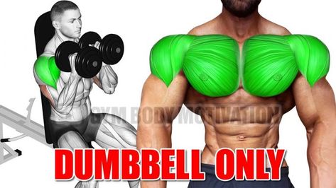 Dumbbell Pullover, Shoulder Workouts For Men, Chest And Shoulder Workout, Dumbbell Chest Workout, Hero Workouts, Dumbbell Only Workout, Chest Workout For Men, Chest Workout Routine, Dumbbell Fly