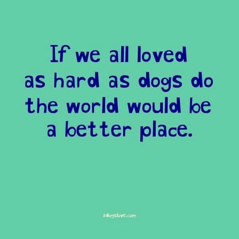 Dog quote Pet Quotes, Cool Dog Houses, Best Dog Training, Dog Rules, Pet Stuff, Dog Obedience, Dog Boarding, Girl And Dog, Animal Quotes