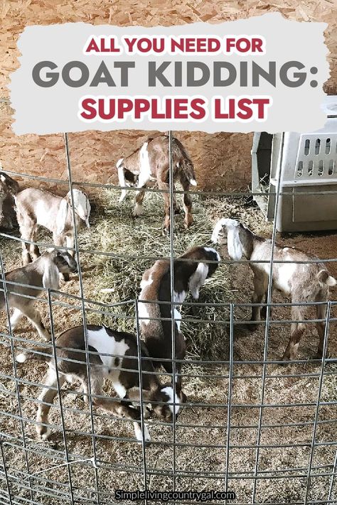 Discover the ultimate guide to assembling a complete and efficient goat birthing kit! Be ready for every step of the kidding process with our comprehensive goat kidding supplies list. Ensure a successful and stress-free experience as you prepare for your goats to give birth. Don't miss out on this essential resource for goat owners and breeders. Get your kit stocked and be fully prepared for a smooth and successful kidding! Goat Kidding Kit, Goat Shelter, Goat Care, Goat Barn, Goat Kidding, Dairy Goats, Give Birth, Goat Farming, Supply List