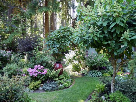 Pnw Garden Ideas, Pnw Garden Landscapes, Pacific Northwest Landscaping, Pnw Landscaping, Pnw Backyard, Pnw Landscape, Pacific Northwest Landscape, Pnw Garden, Low Maintenance Landscaping Front Yard