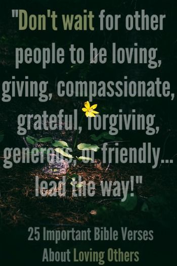 “Don’t wait for other people to be loving, giving, compassionate, grateful, forgiving, generous, or friendly… lead the way!” Check out 25 Important Bible Verses About Loving Others Important Bible Verses, Love One Another Quotes, Wedding Bible Verses, Loving Others, Wedding Bible, Verses About Love, Bible Verses About Love, Love One Another, Love Others