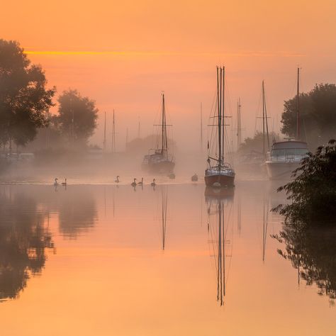 Wareham Dorset, Corfe Castle, Sunset Rose, Misty Morning, Uk Photos, Plan B, River Boat, The Sunrise, Yachts