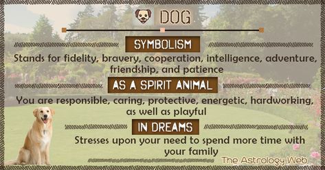 Dog symbol, what does a dog symbolize, black dog meaning, dreams about dogs (in Islam, Bible), dog in different religions Black Dog Spiritual Meaning, Dog Spirit Animal Meaning, Animal Omens, Dog Spirit Animal, Dog Symbolism, Tarot Symbols, Animal Totem Spirit Guides, Dog Symbol, Animal Symbols