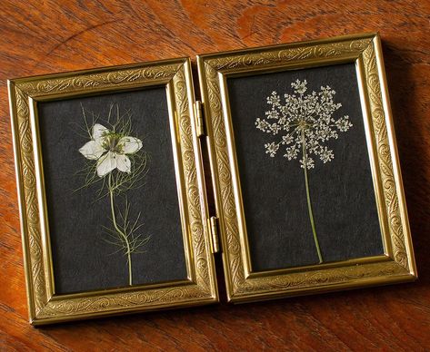 Vintage Pressed Flower Art, Preserving Flowers In Frame, Pressed Floral Art, Dried Flower Gifts, Diy Pressed Flowers Frame, Pressed Flowers Ideas, Flower Press Art, Dried Flowers Art, Herbarium Art