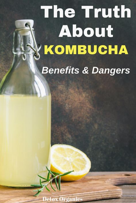 Ever wondered if sipping on kombucha is good for your health? And does it play a role in weight loss? Kumbacha Benefits, Kombucha Benefits For Women, Food Shelves, Diy Kombucha, Kombucha Drink, Kombucha Recipes, Kombucha Benefits, Kombucha Scoby, Kombucha Recipe