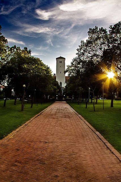 Rhodes University, Clifton Beach, Eastern Cape, Game Reserve, Travel South, National Art, Southern Africa, Ivory Coast, Africa Travel