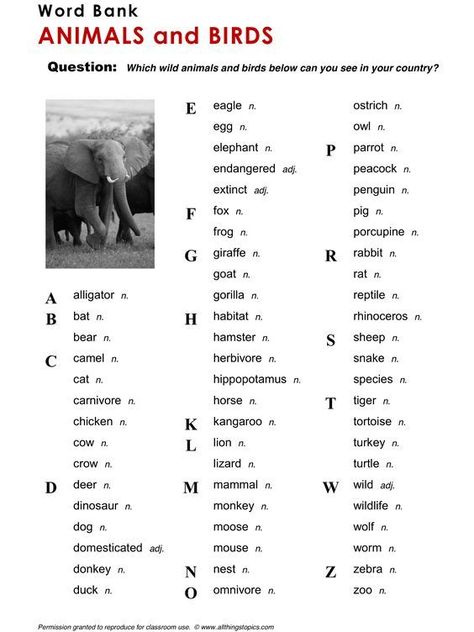 Teach English Online, Esl English, English Teaching Materials, Science Words, Esl Vocabulary, Teaching English Online, Learning English For Kids, English Grammar Worksheets, Animals And Birds