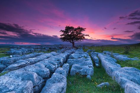 United Kingdom Castles, London England Photography, Yorkshire Dales National Park, Travel English, Hawthorn Tree, Scotland Landscape, History Of England, England Photography, Oxford England