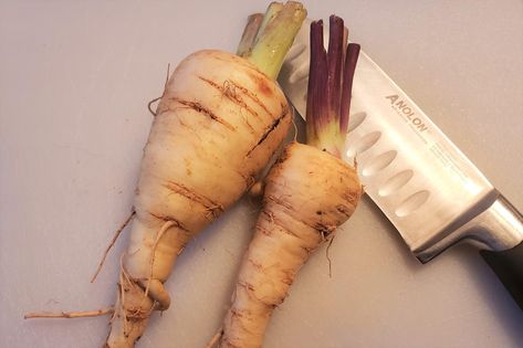 Harvest and Store Parsnips Growing Parsnips, Vegetable Drawer, Storing Vegetables, Roasted Parsnips, Seed Packets, Parsnips, Vegetable Recipes, Gardening Tips, Carrots