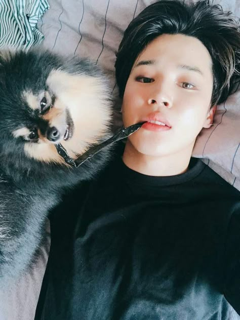 Kim Yeontan, Bts Dogs, Park Jimin Bts, Foto Bts, Bts Taehyung, Bts Wallpaper, Bts Jimin, B T S, Park Jimin