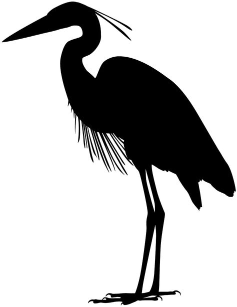 Great Blue Heron silhouette - Free Vector Silhouettes | Creazilla Heron Sketch, Heron Art, Furniture Upcycling, Great Blue Heron, Silhouette Clip Art, Herons, Bird Silhouette, Animal Silhouette, Bike Parking