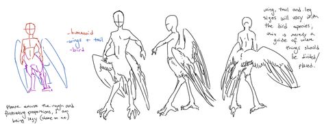 How To Draw Bird Talons, Bird Legs Drawing Reference, Bird Talons Reference, Human With Bird Legs Drawing, How To Draw Bird Legs On Humans, Bird Feet Drawing Reference, Bird Talons Drawing, Bird Feet Reference, Bird Legs Reference