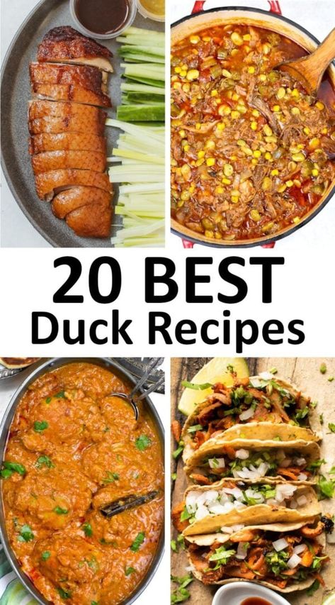 duck recipes pin Wild Duck Stew Recipes, Duck Casserole Recipes, Shredded Duck Recipes, Wild Duck Recipes Hunting, Teal Recipes Duck, Spatchcock Duck Recipe, Ground Duck Recipes, Wood Duck Recipes, Best Duck Recipes