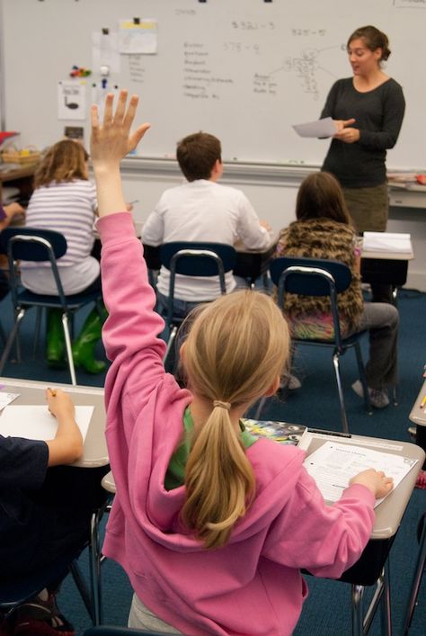 Raising Hands In Classroom, Students Raising Hands, Dream Manifestation, Class Discussion, Beatles Wallpaper, Session 9, Glass Castle, Vision 2024, Harvard Law