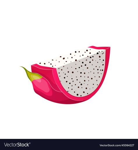 Dragon Fruit Vector, Fruit Vector, Fruit Slice, Summer Food, Dragon Fruit, Big Picture, Transparent Png, Png Images, Vector Images