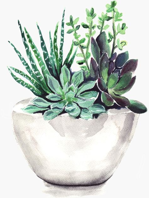 "Succulents" Sticker by bridgetdav | Redbubble Arts And Crafts Kits, Diy Oils, Cross Stitch Pictures, Step By Step Painting, Paint By Numbers, Paint By Number Kits, Canvas Wall Decor, Succulent Pots, 5d Diamond Painting