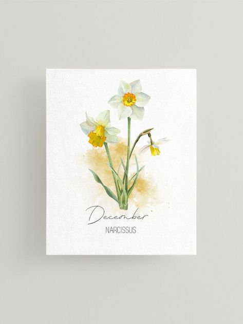 Narcissus December Birth Flower Wall Art. Beautiful watercolor illustration of the elegant Narcissus flower, the December birth flower. A perfect decoration for home or office, and a thoughtful gift for anyone born in December. Narcissus flower artwork, December wall art, birth flower decor, flower painting, winter wall art, flower art for walls, botanical wall decor, birthday gift ideas, December home decor, flower wall art aesthetic, Narcissus floral art. Flower Narcissus, December Birth Flower, Wall Decor Birthday, Born In December, Narcissus Flower, Botanical Wall Decor, Winter Wall Art, Birth Month Flower, Flower Artwork