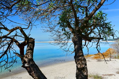 Pristine waters of Mallacoota Victoria Australia #AD, #Advertisement, #AD, #waters, #Australia, #Victoria, #Pristine Mallacoota Victoria, Wattamolla Beach, Hyams Beach Australia, Hiking Victoria Australia, Lake Eyre South Australia, Victoria Australia, Crystal Clear Water, Scenic Views, Clear Water